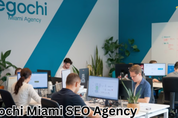 egochi miami seo agency