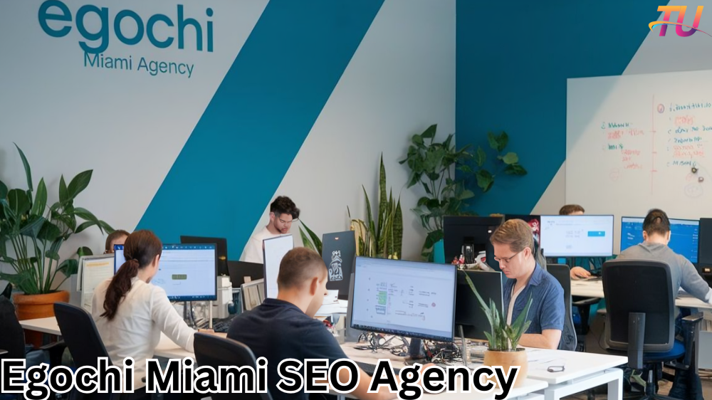 egochi miami seo agency